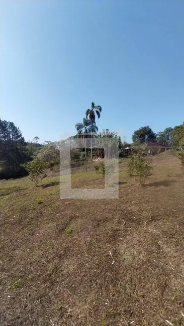 Foto 6 de Chácara com 3 quartos à venda, 5700m2 em Centro, Juquitiba - SP