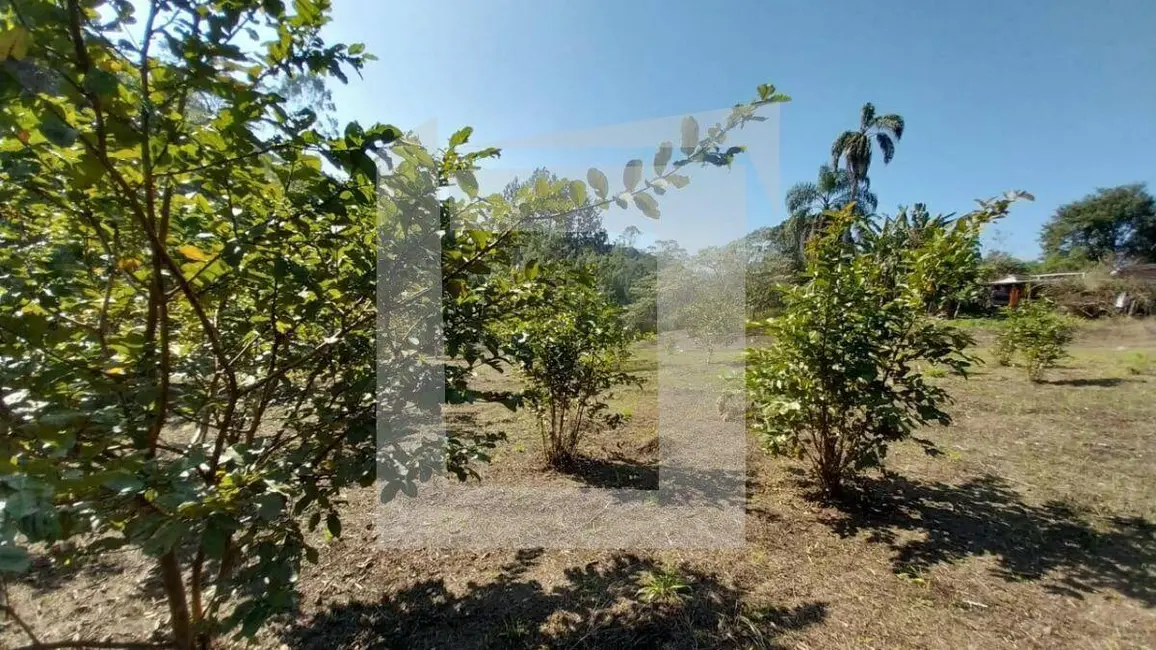 Foto 8 de Chácara com 3 quartos à venda, 5700m2 em Centro, Juquitiba - SP