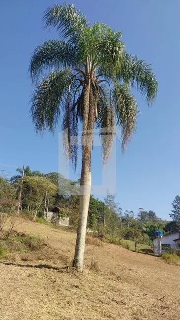 Foto 4 de Chácara com 3 quartos à venda, 5700m2 em Centro, Juquitiba - SP