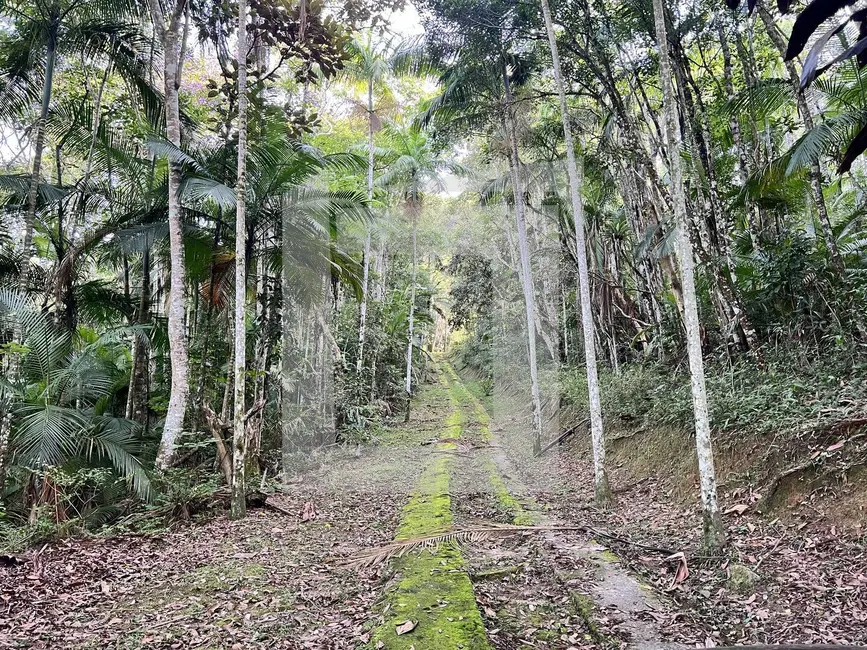 Foto 9 de Chácara com 2 quartos à venda, 9304m2 em Centro, Juquitiba - SP