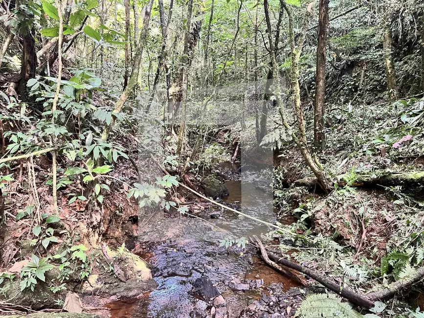 Foto 3 de Sítio / Rancho com 2 quartos à venda, 67334m2 em Centro, Juquitiba - SP