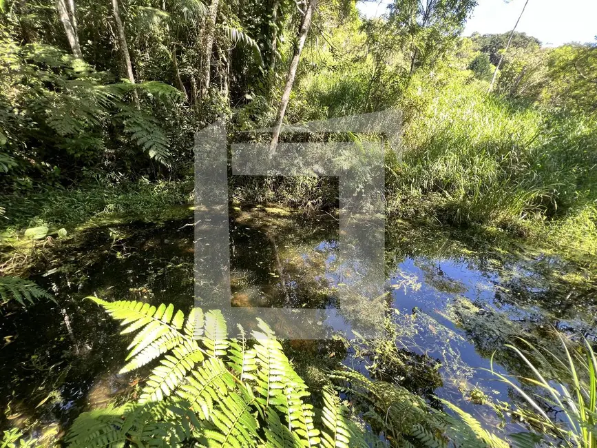 Foto 8 de Sítio / Rancho com 2 quartos à venda, 21261m2 em Centro, Juquitiba - SP