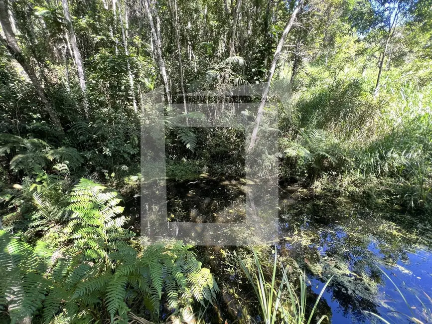 Foto 7 de Sítio / Rancho com 2 quartos à venda, 21261m2 em Centro, Juquitiba - SP