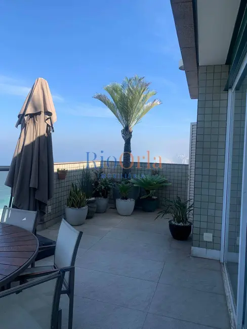 Cobertura com 4 quartos à venda, 356m2 em Barra da Tijuca, Rio De Janeiro - RJ - imagem 7 Foto 7 de Cobertura com 4 quartos à venda, 356m2 em Barra da Tijuca, Rio De Janeiro - RJ