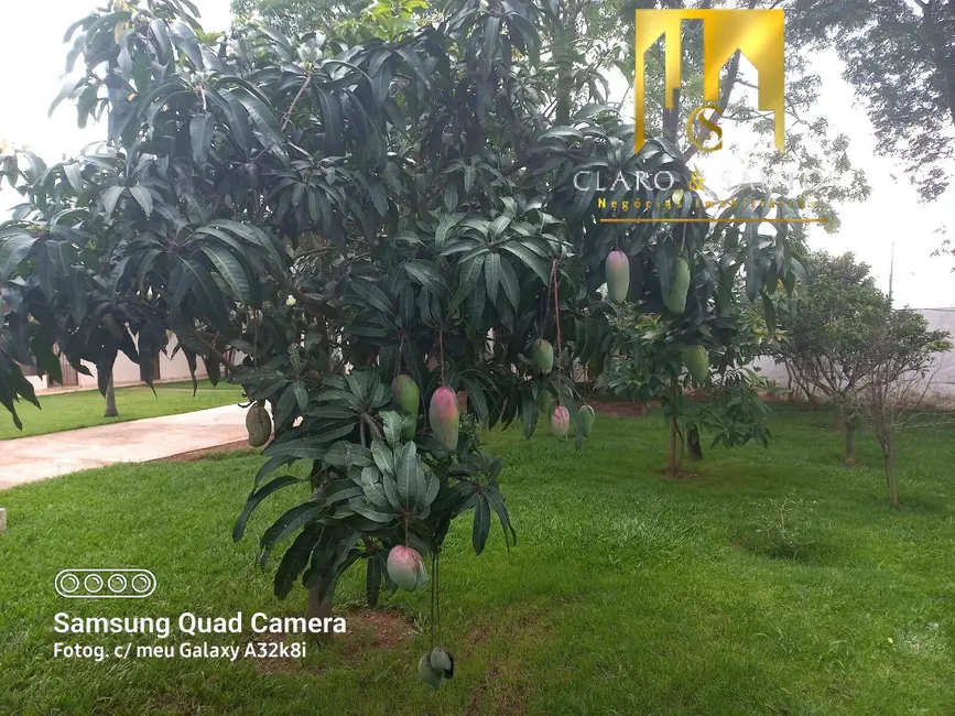 Chácara com 4 quartos à venda, 1200m2 em Guarulhos - SP - imagem 5 Foto 5 de Chácara com 4 quartos à venda, 1200m2 em Guarulhos - SP