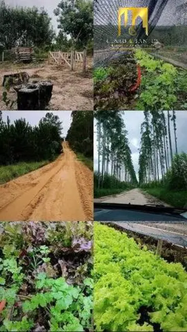 Foto 2 de Terreno / Lote à venda em Macedo, Guarulhos - SP