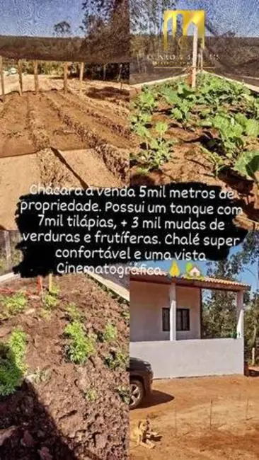 Terreno / Lote à venda em Macedo, Guarulhos - SP - imagem 3 Foto 3 de Terreno / Lote à venda em Macedo, Guarulhos - SP