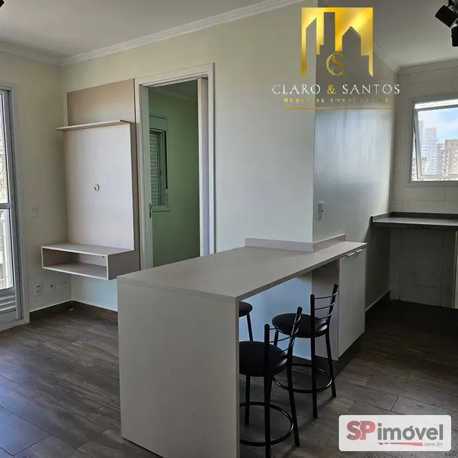 Foto 3 de Apartamento com 2 quartos para alugar, 36m2 em Parada Inglesa, São Paulo - SP