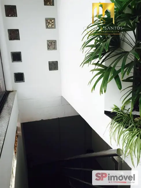 Foto 6 de Sala Comercial para alugar, 750m2 em Vila Amália (Zona Norte), São Paulo - SP