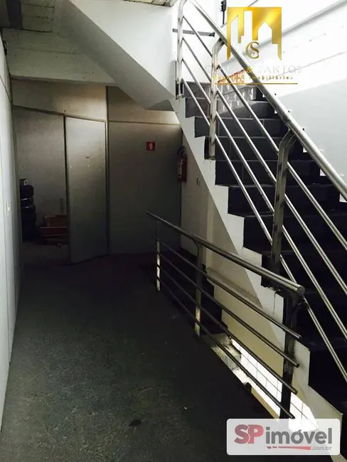 Foto 5 de Sala Comercial para alugar, 750m2 em Vila Amália (Zona Norte), São Paulo - SP