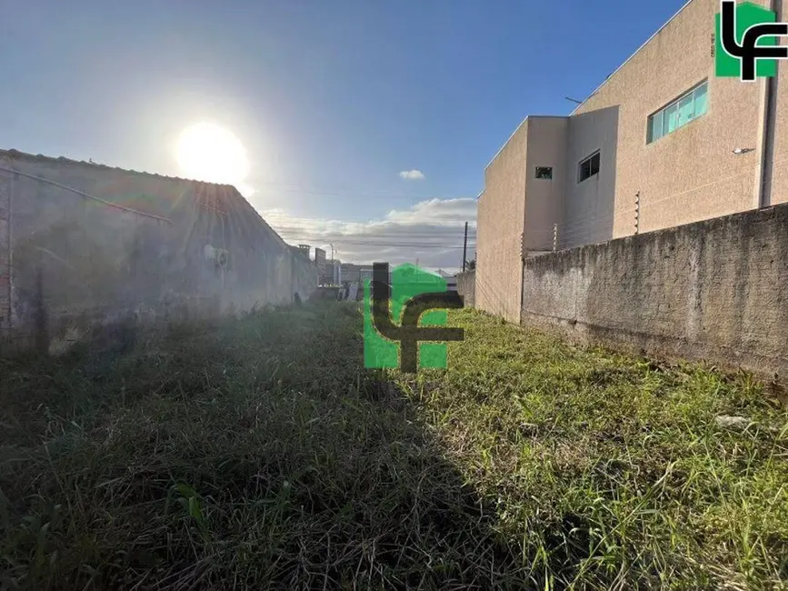 Foto 6 de Terreno / Lote à venda, 340m2 em Matinhos - PR