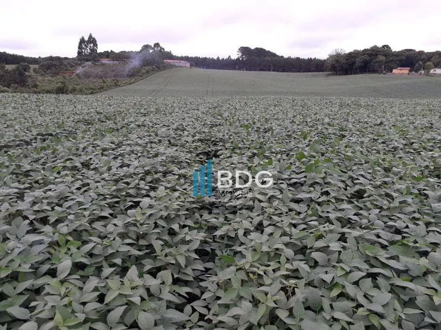 Foto 3 de Sala Comercial à venda, 127500m2 em Veneza, Fazenda Rio Grande - PR