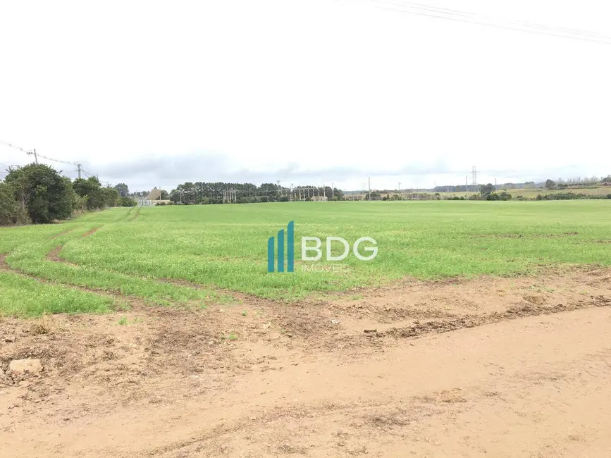 Foto 5 de Sala Comercial à venda, 127500m2 em Veneza, Fazenda Rio Grande - PR