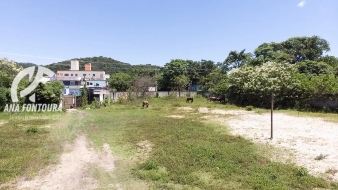 Terreno / Lote à venda, 400m2 em São Francisco de Assis, Camboriu - SC - imagem 8 Foto 8 de Terreno / Lote à venda, 400m2 em São Francisco de Assis, Camboriu - SC