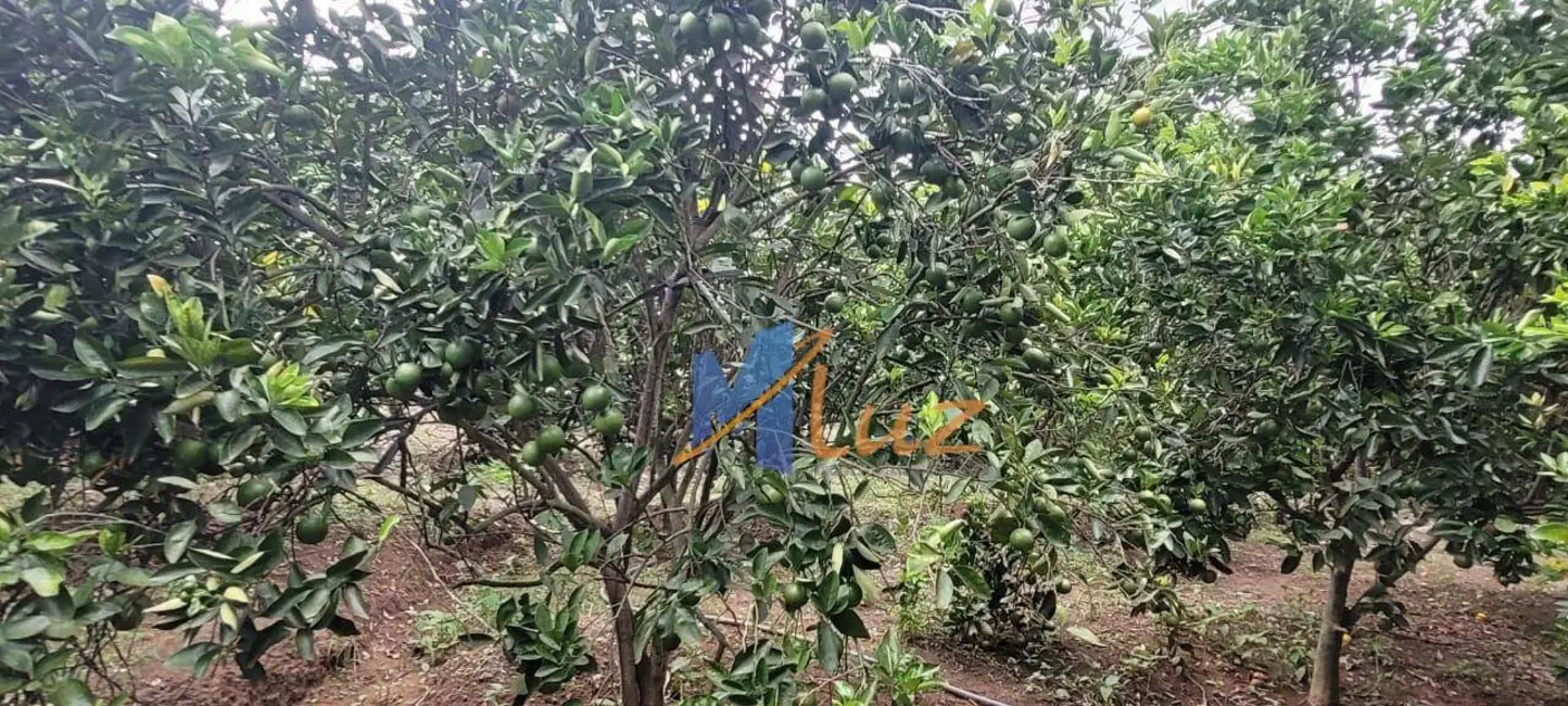 Foto 4 de Chácara com 2 quartos à venda, 170000m2 em Sao Fidelis - RJ