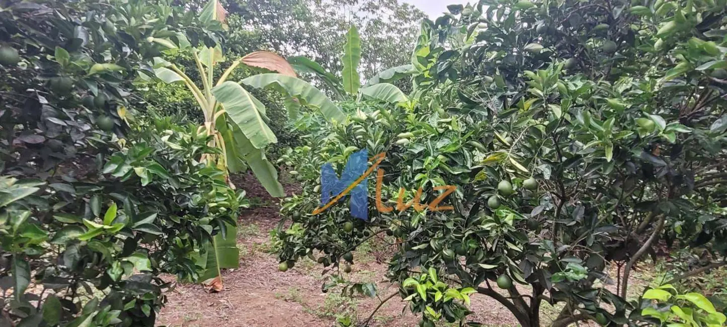 Foto 5 de Chácara com 2 quartos à venda, 170000m2 em Sao Fidelis - RJ