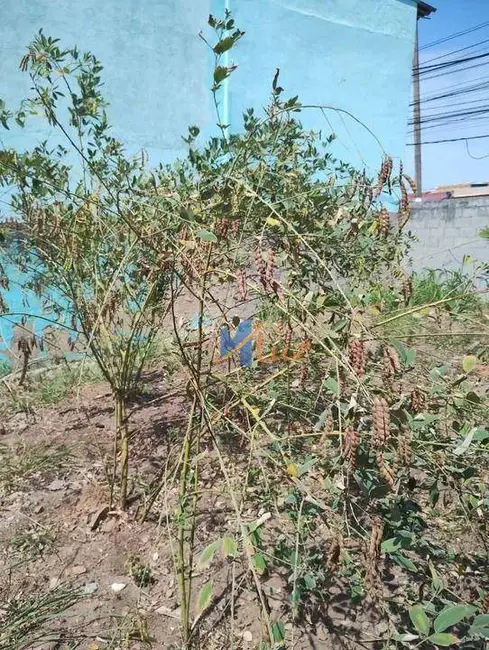 Terreno / Lote à venda, 388m2 em Praia Campista, Macae - RJ - imagem 4 Foto 4 de Terreno / Lote à venda, 388m2 em Praia Campista, Macae - RJ