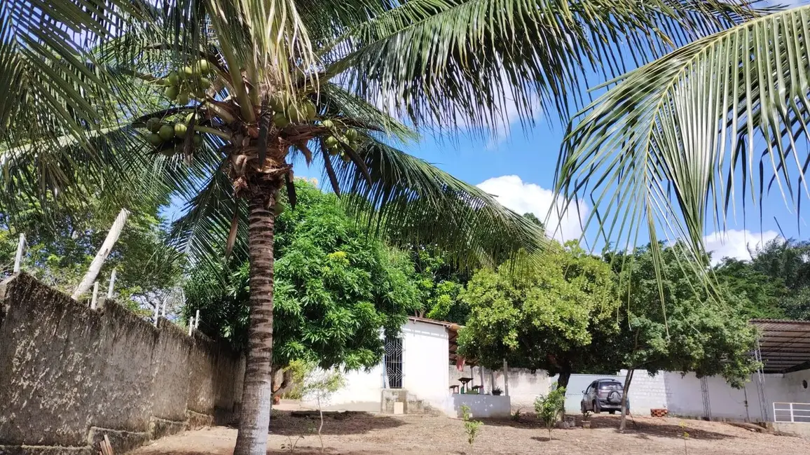 Casa com 2 quartos à venda, 1800m2 em Jardins, Sao Goncalo Do Amarante - RN - imagem 3 Foto 3 de Casa com 2 quartos à venda, 1800m2 em Jardins, Sao Goncalo Do Amarante - RN