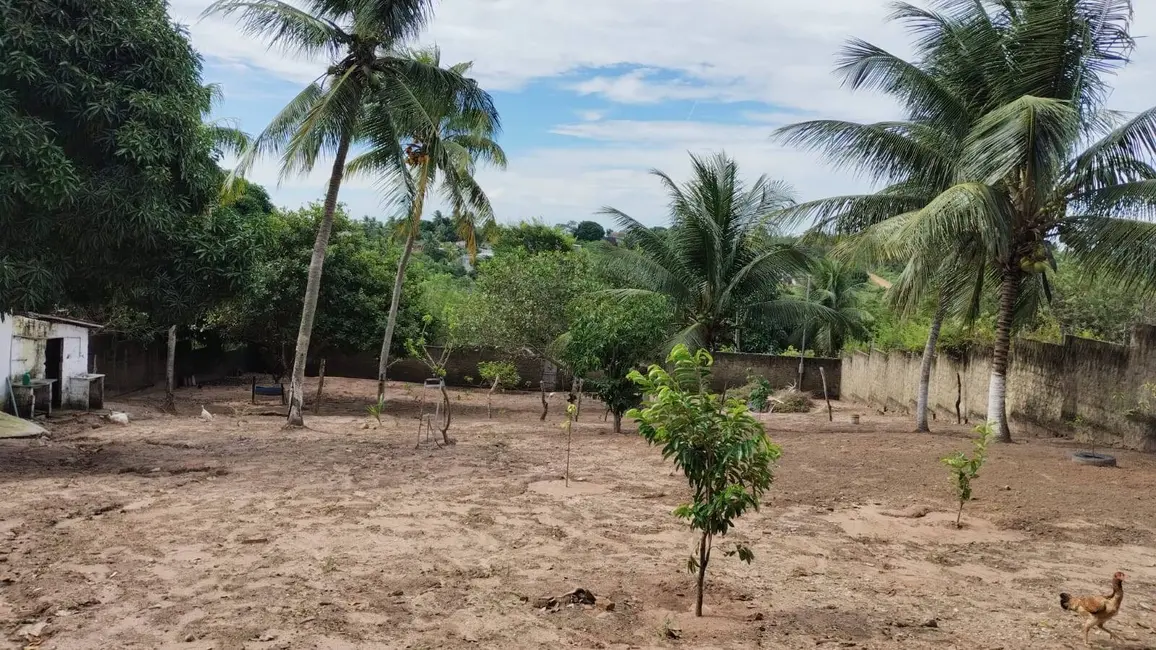 Casa com 2 quartos à venda, 1800m2 em Jardins, Sao Goncalo Do Amarante - RN - imagem 5 Foto 5 de Casa com 2 quartos à venda, 1800m2 em Jardins, Sao Goncalo Do Amarante - RN