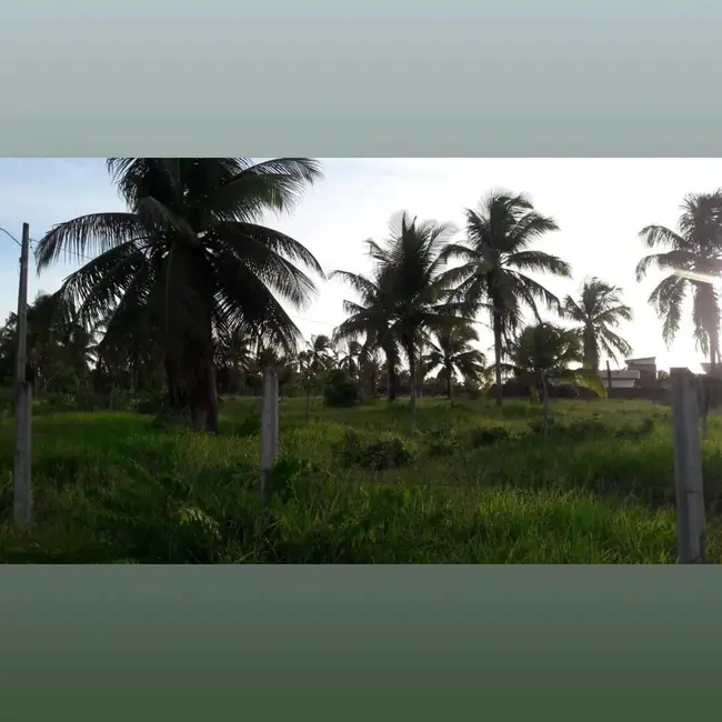 Terreno / Lote à venda e para alugar em Cajupiranga, Parnamirim - RN - imagem 2 Foto 2 de Terreno / Lote à venda e para alugar em Cajupiranga, Parnamirim - RN