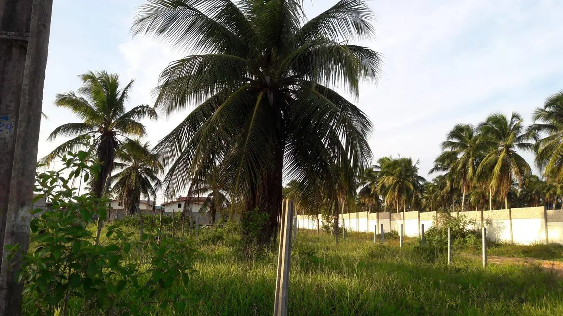 Terreno / Lote à venda e para alugar em Cajupiranga, Parnamirim - RN - imagem 4 Foto 4 de Terreno / Lote à venda e para alugar em Cajupiranga, Parnamirim - RN