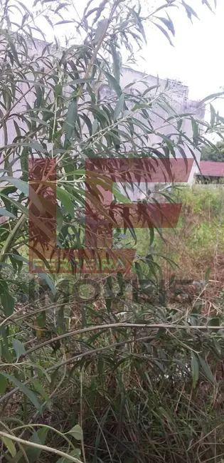 Terreno / Lote à venda, 330m2 em Parque Climateric Rolland, Francisco Morato - SP - imagem 7 Foto 7 de Terreno / Lote à venda, 330m2 em Parque Climateric Rolland, Francisco Morato - SP