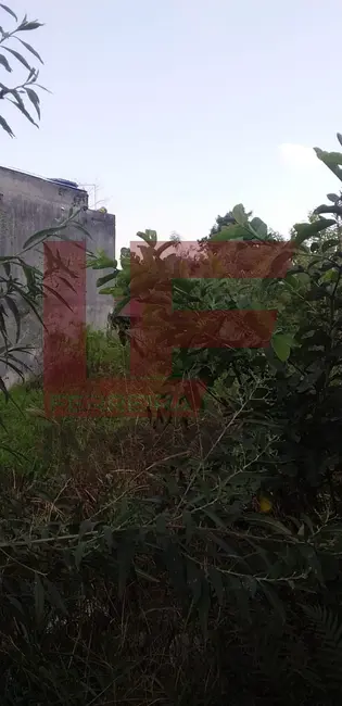 Terreno / Lote à venda, 330m2 em Parque Climateric Rolland, Francisco Morato - SP - imagem 6 Foto 6 de Terreno / Lote à venda, 330m2 em Parque Climateric Rolland, Francisco Morato - SP