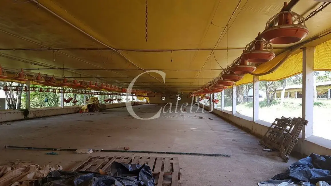 Foto 5 de Sítio / Rancho com 10 quartos à venda em Jacutinga - MG