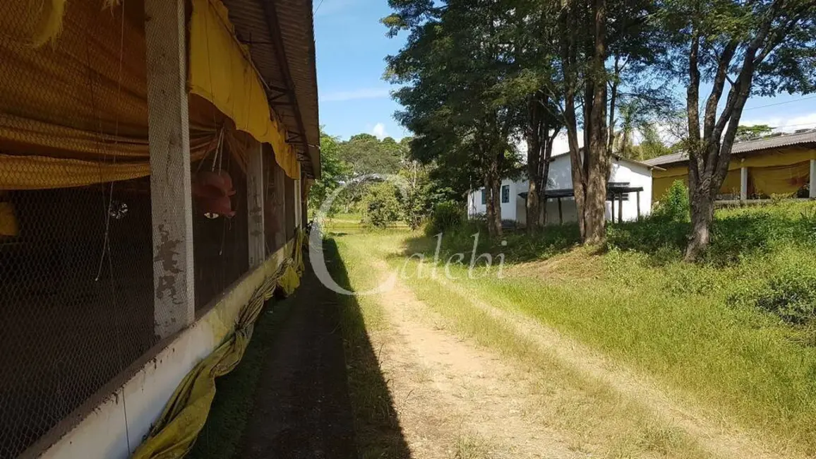 Foto 8 de Sítio / Rancho com 10 quartos à venda em Jacutinga - MG
