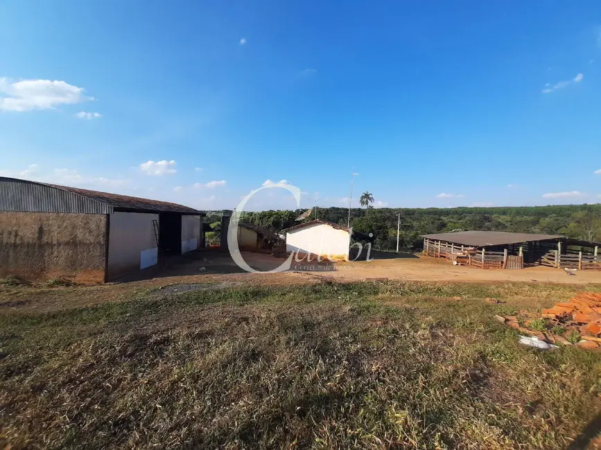 Sítio / Rancho à venda em Artur Nogueira - SP - imagem 5 Foto 5 de Sítio / Rancho à venda em Artur Nogueira - SP