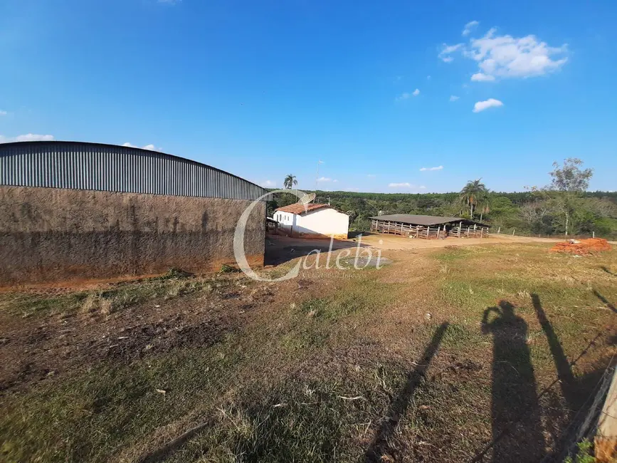 Sítio / Rancho à venda em Artur Nogueira - SP - imagem 4 Foto 4 de Sítio / Rancho à venda em Artur Nogueira - SP