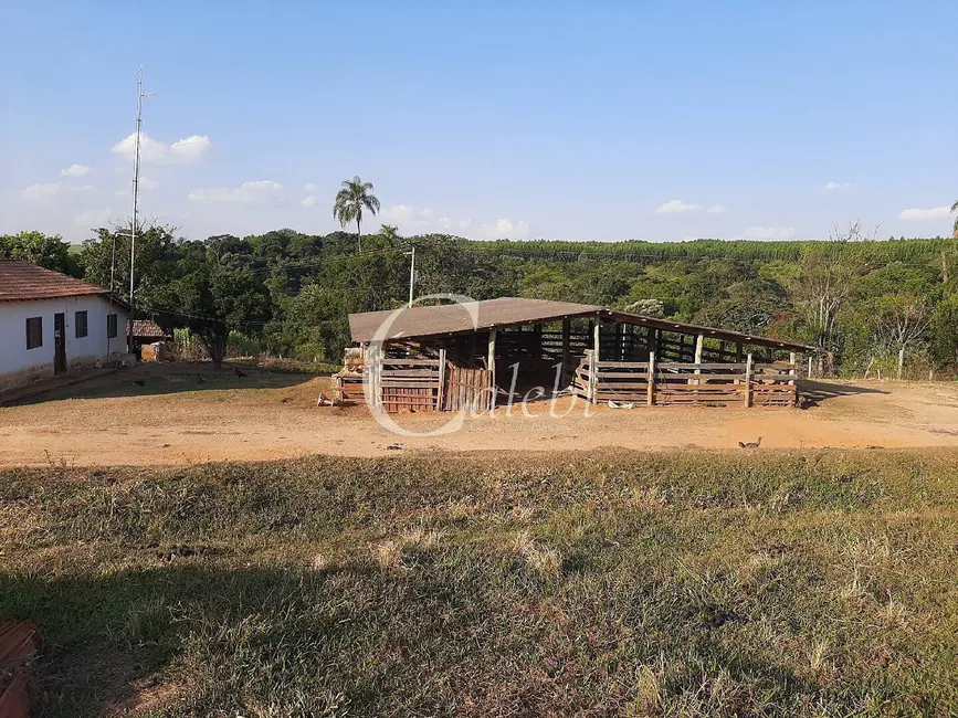 Sítio / Rancho à venda em Artur Nogueira - SP - imagem 8 Foto 8 de Sítio / Rancho à venda em Artur Nogueira - SP