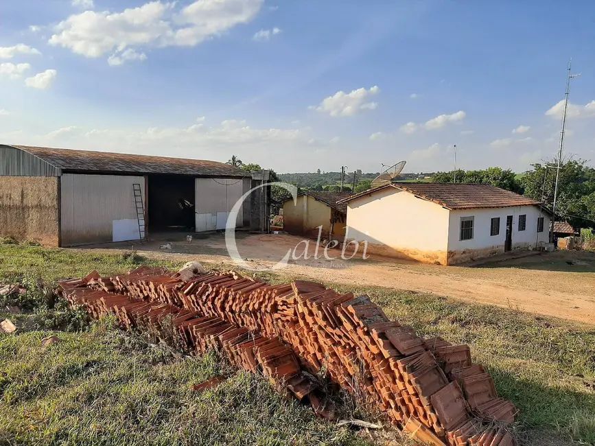 Sítio / Rancho à venda em Artur Nogueira - SP - imagem 9 Foto 9 de Sítio / Rancho à venda em Artur Nogueira - SP