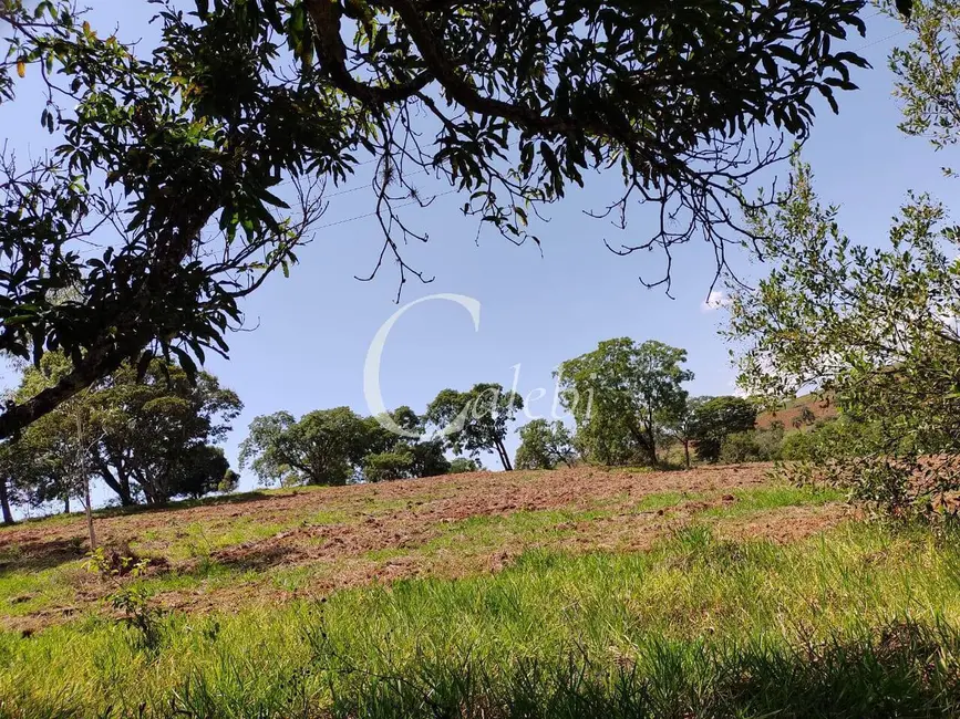 Foto 5 de Chácara com 2 quartos à venda, 23m2 em Ouro Fino - MG