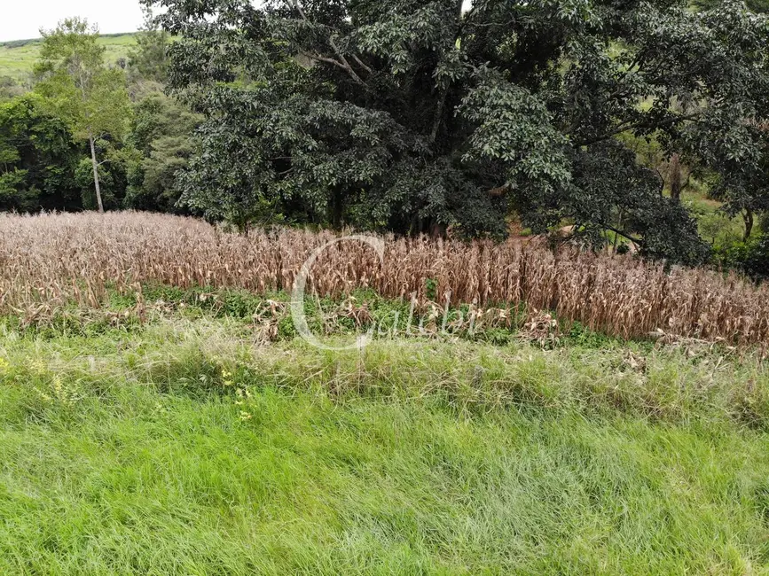 Foto 6 de Sítio / Rancho à venda em Engenheiro Coelho - SP