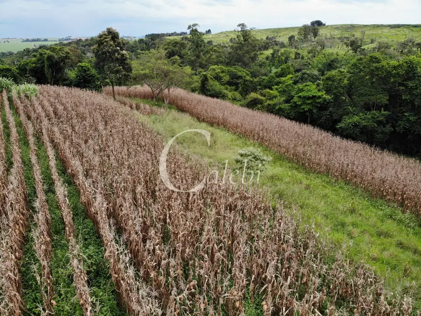 Foto 9 de Sítio / Rancho à venda em Engenheiro Coelho - SP
