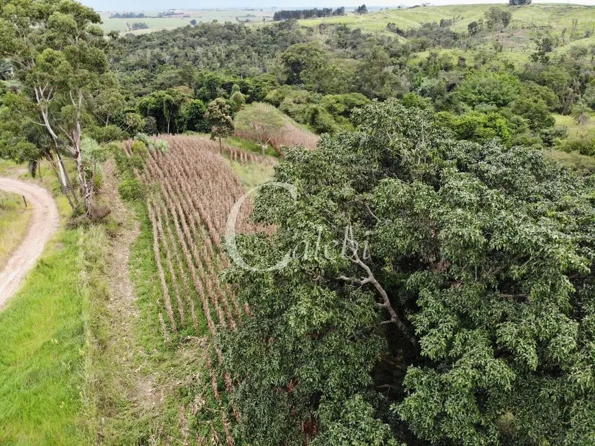 Foto 3 de Sítio / Rancho à venda em Engenheiro Coelho - SP
