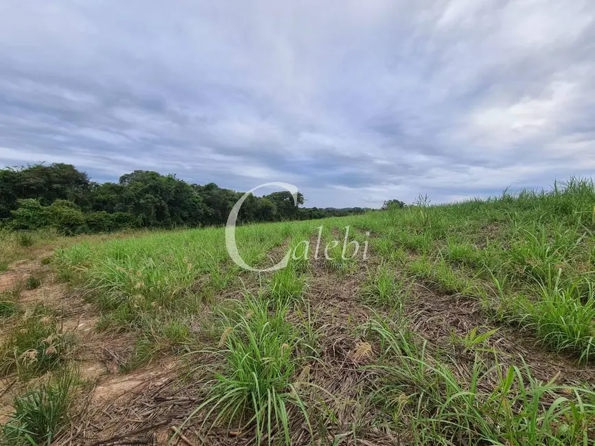 Foto 9 de Sítio / Rancho à venda em Artur Nogueira - SP