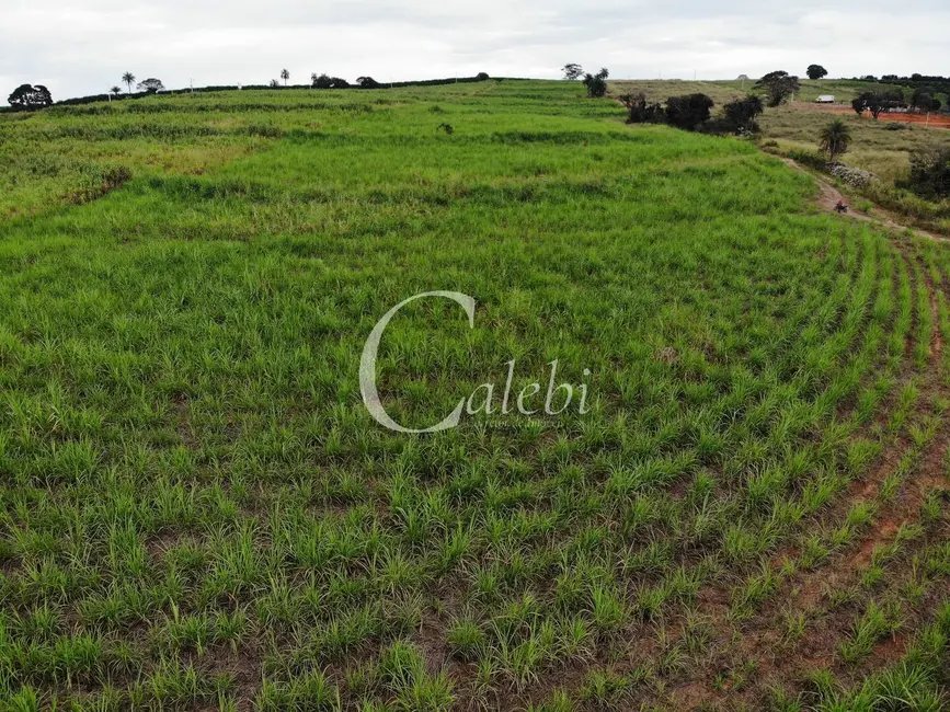 Foto 6 de Sítio / Rancho à venda em Artur Nogueira - SP