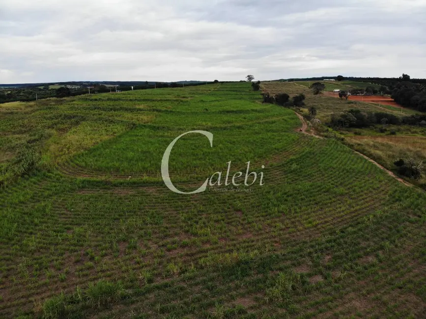 Foto 5 de Sítio / Rancho à venda em Artur Nogueira - SP
