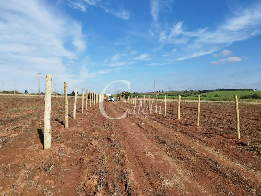 Foto 3 de Sítio / Rancho à venda e para alugar em Engenheiro Coelho - SP