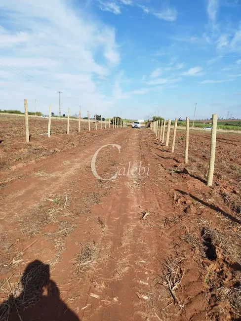 Foto 4 de Sítio / Rancho à venda e para alugar em Engenheiro Coelho - SP