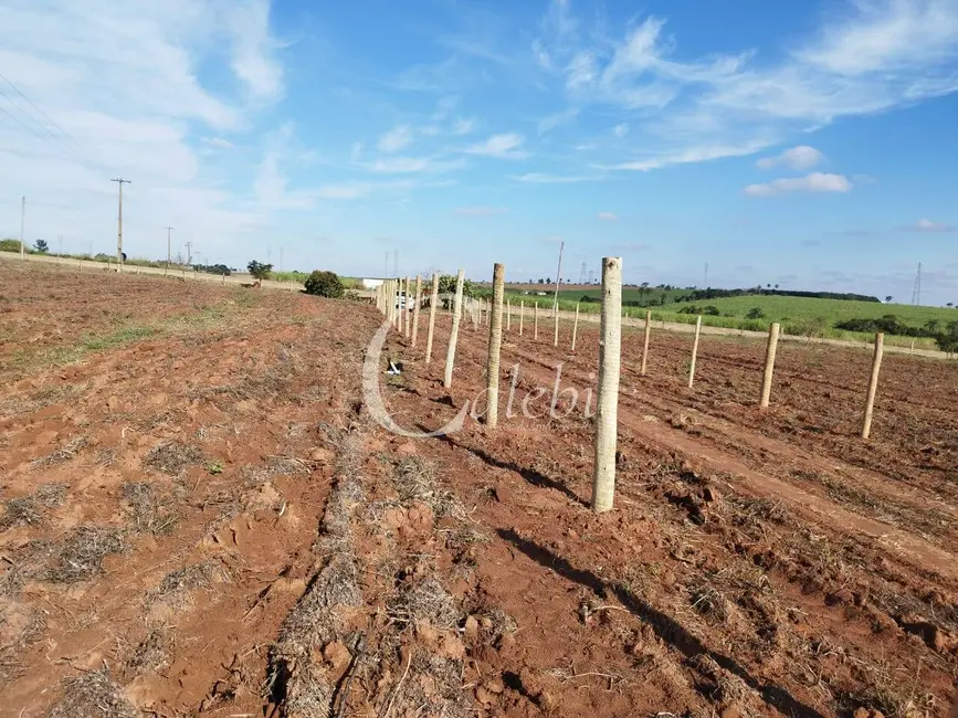 Foto 2 de Sítio / Rancho à venda e para alugar em Engenheiro Coelho - SP