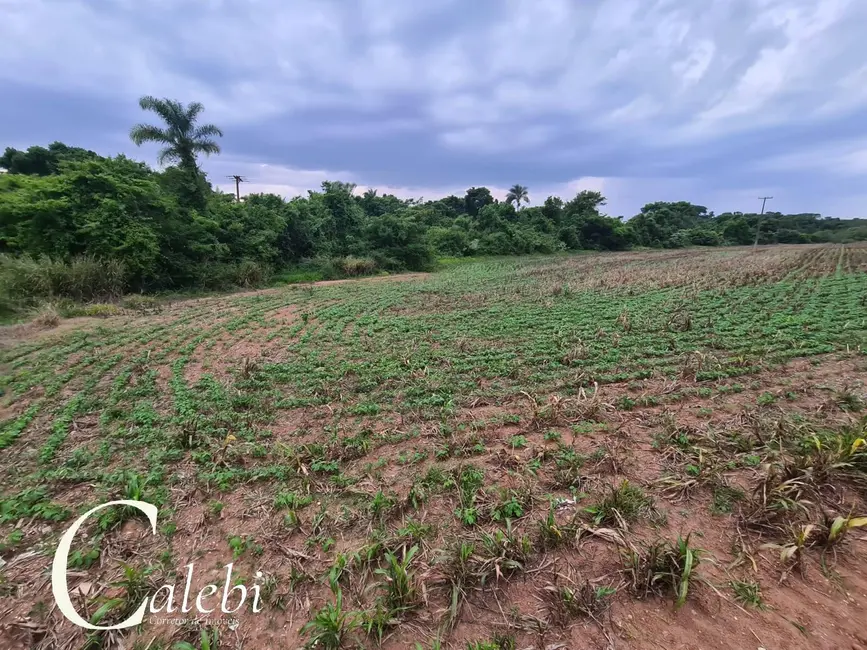 Foto 6 de Sítio / Rancho à venda, 8m2 em Conchal - SP