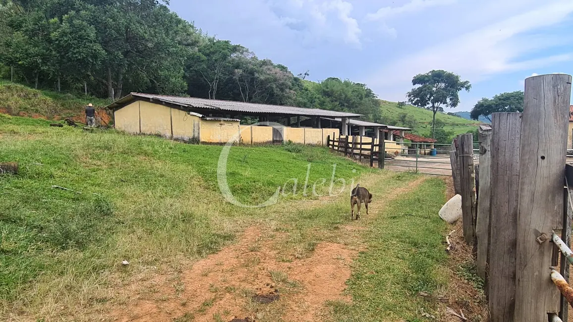 Fazenda / Haras com 3 quartos à venda, 63m2 em Centro, Itapira - SP - imagem 7 Foto 7 de Fazenda / Haras com 3 quartos à venda, 63m2 em Centro, Itapira - SP