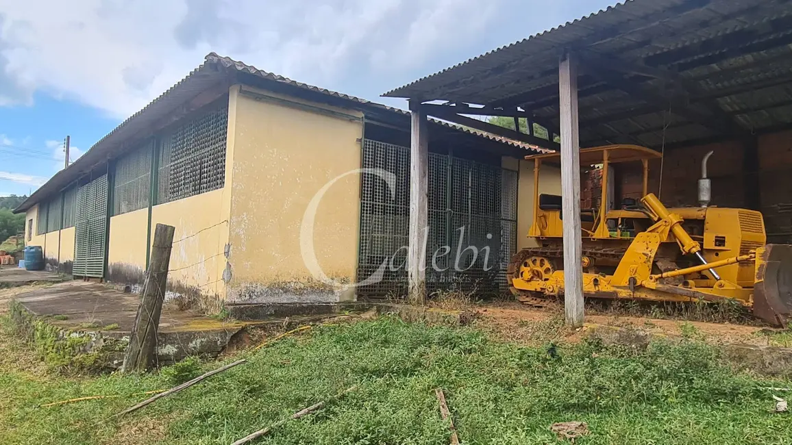Fazenda / Haras com 3 quartos à venda, 63m2 em Centro, Itapira - SP - imagem 9 Foto 9 de Fazenda / Haras com 3 quartos à venda, 63m2 em Centro, Itapira - SP