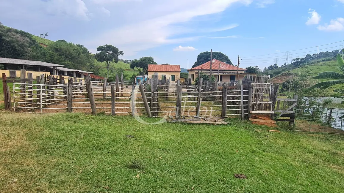 Fazenda / Haras com 3 quartos à venda, 63m2 em Centro, Itapira - SP - imagem 5 Foto 5 de Fazenda / Haras com 3 quartos à venda, 63m2 em Centro, Itapira - SP