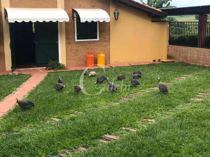 Sítio / Rancho à venda, 8m2 em Conchal - SP - imagem 3 Foto 3 de Sítio / Rancho à venda, 8m2 em Conchal - SP