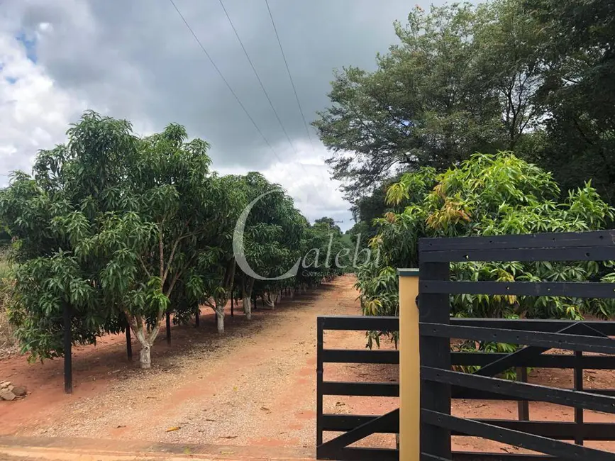 Sítio / Rancho à venda, 8m2 em Conchal - SP - imagem 9 Foto 9 de Sítio / Rancho à venda, 8m2 em Conchal - SP