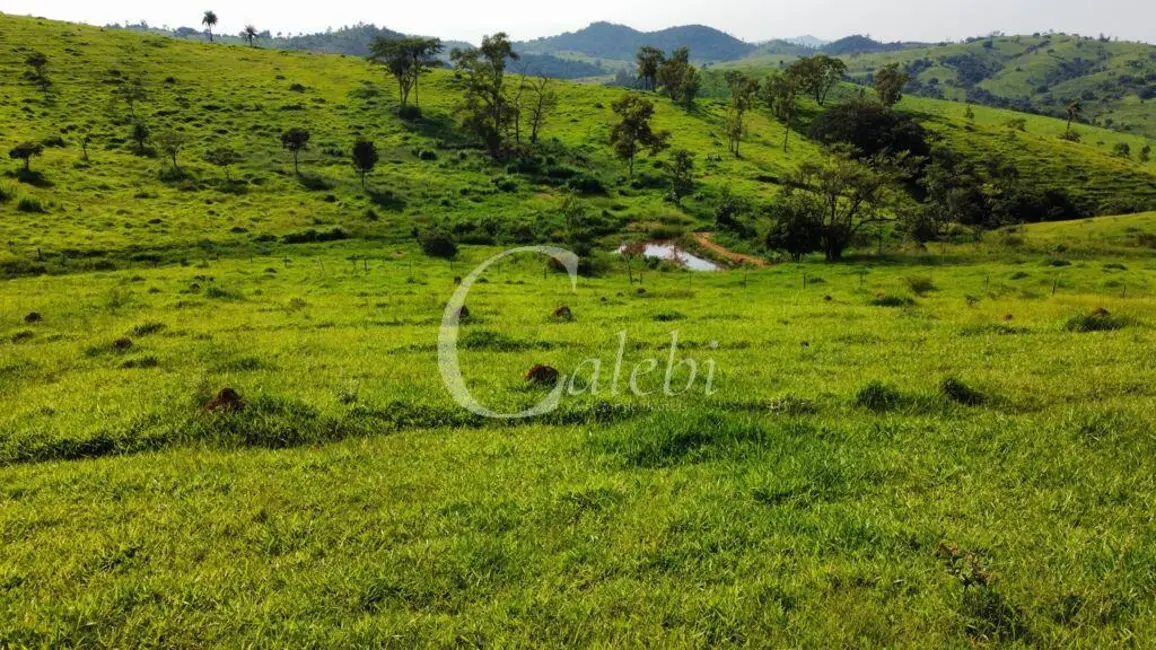 Fazenda / Haras com 3 quartos à venda, 218m2 em Centro, Itapira - SP - imagem 6 Foto 6 de Fazenda / Haras com 3 quartos à venda, 218m2 em Centro, Itapira - SP